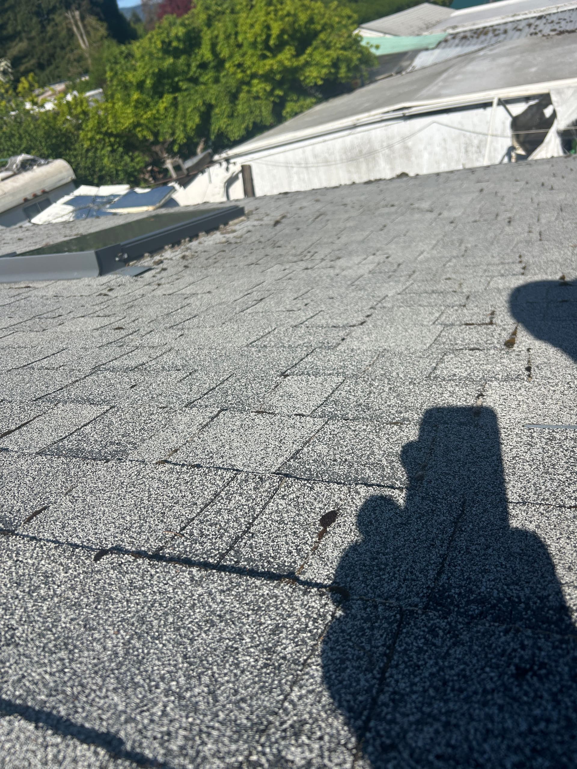 Gallery photos for Full Roof Replacement Needed - Caught Before It Was Too Late: Image #2
