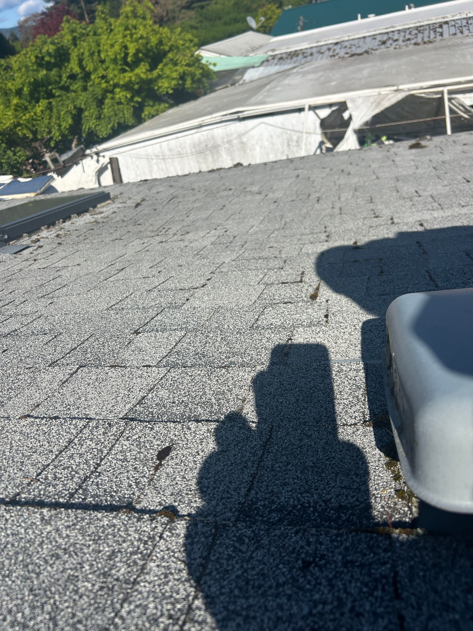 Gallery photos for Full Roof Replacement Needed - Caught Before It Was Too Late: Image #1