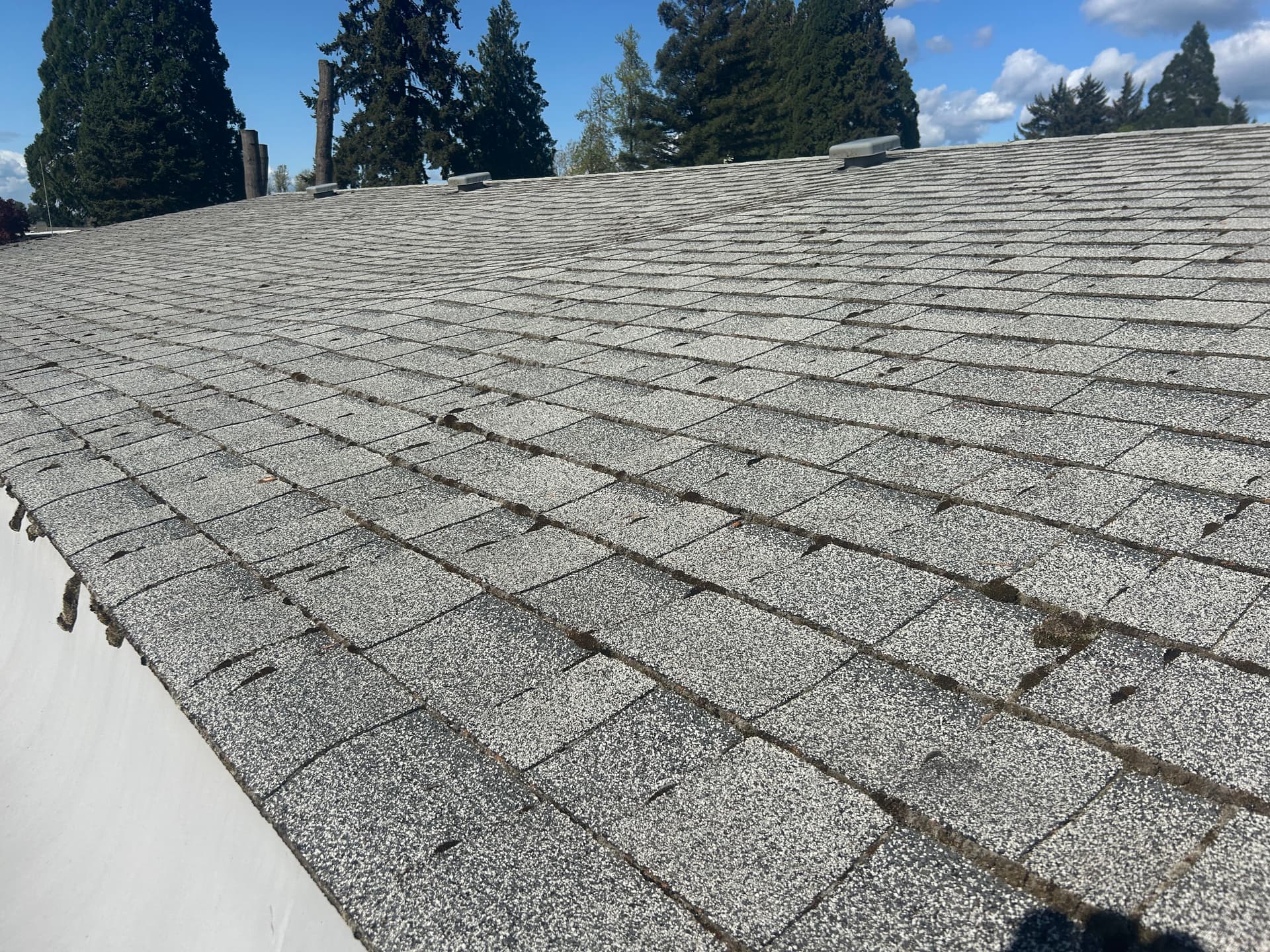 Gallery photos for Full Roof Replacement Needed - Caught Before It Was Too Late: Image #4